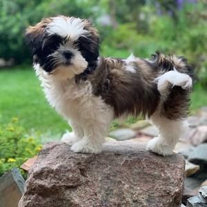 Meet your Posher, Danielle